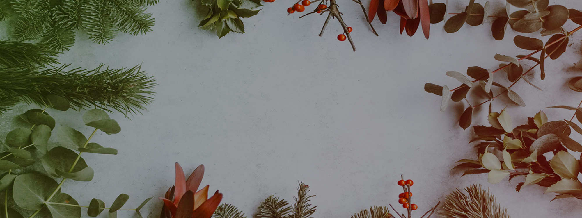 What’s on at Christmas